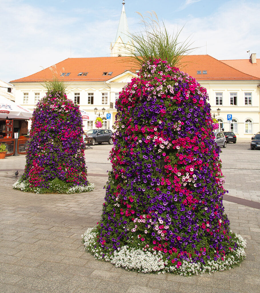 Alpenblüte Tower (“Alpine Bloom”)
