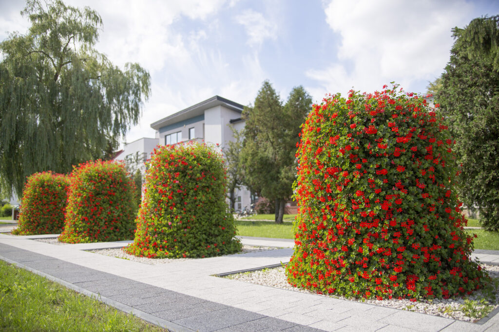 Alpenblüte Tower (“Alpine Bloom”)