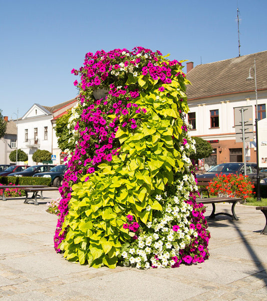 Alpenblüte Tower (“Alpine Bloom”)
